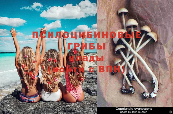 марки nbome Дмитриев