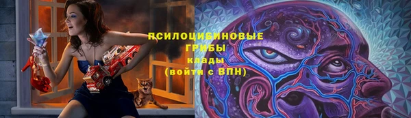 марки nbome Дмитриев
